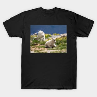 Mountains Goats Babies T-Shirt